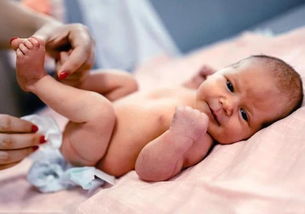 新生儿大便次数 新生儿一天排便多少次算正常