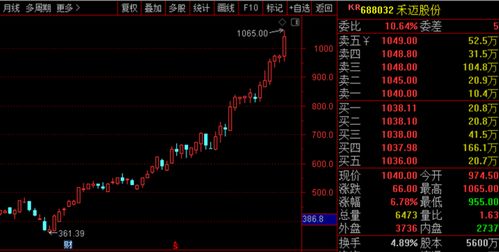 持仓股票为什么卖不出