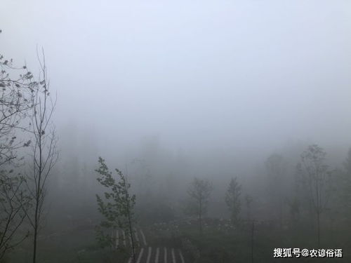 出生在废日好吗 老话说 废日出生,有始无终 ,有道理吗