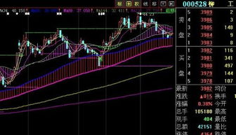 为什么柳工的股价这么低