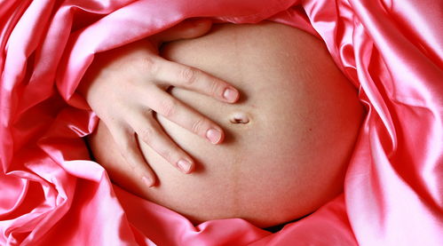 原创夏天怀孕孕酮低的孕妈，常用枸杞煮“它”吃，补充孕酮还去胎毒