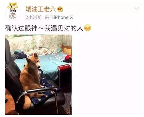 沙雕网友把女友的口红和衣服一起洗了,哈哈哈哈哈