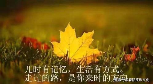 打动人心关于生活的短语说说大全：脾气，发出去是秉性，收回来是(生活句子表达心情)