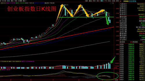 股票跌停反复开板是怎么回事 后市会怎么走