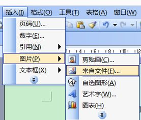 怎样把照片贴到word页面上