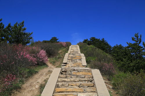 山西大同天峰岭