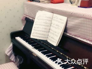 快乐小蚂蚁钢琴艺术培训课程 价格 简介 怎么样 北京学习培训 