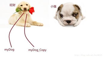 用画小狗的方法来解释Java中的值传递 