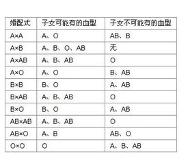 两个B血型的人合作生产出的小孩是不是2B血型 