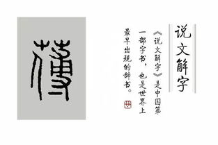 说文解字 第84课 诗经 芃芃其麦 , 芃 为何意