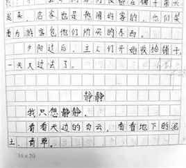 我想什么 六年级作文