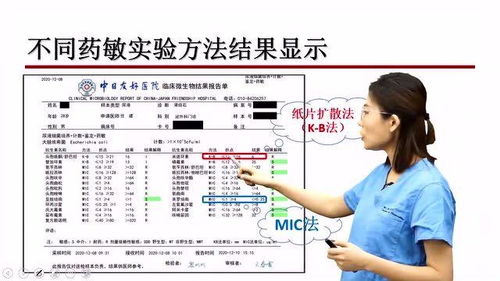 药敏方案模板(药敏试验操作过程及注意事项)