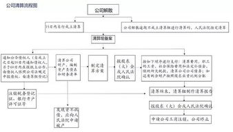 股东（大）会怎么组成的