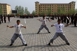 嵩山少林寺武术学校 练武既练 力 还练 气