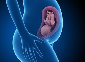原创孕妇这3个部位疼，或许是宝宝正常生长发育的表现，孕妈需知晓
