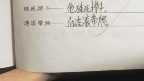 没效c造句,以示效尤是什么意思？