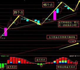 什么是主力成本线和散户线？在软件上怎么调出来？