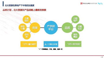 一路地产的项目孵化是什么意思？