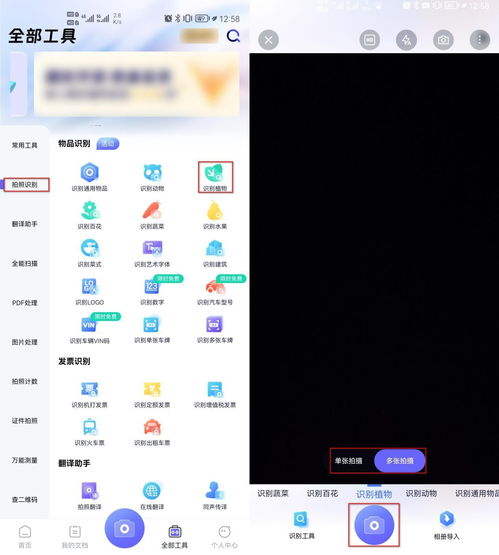 怎样用手机照片识别植物 推荐这些方法给你