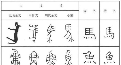 子字从甲骨文到现代汉字的演变过程 信息图文欣赏 信息村 K0w0m Com