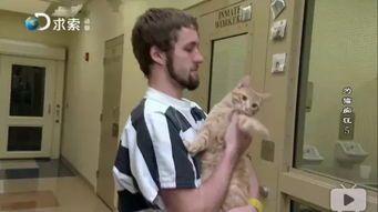 一个双向救赎的故事 监狱养猫计划让囚犯全变猫