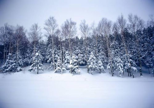 雪景拍摄可以试试这些方法