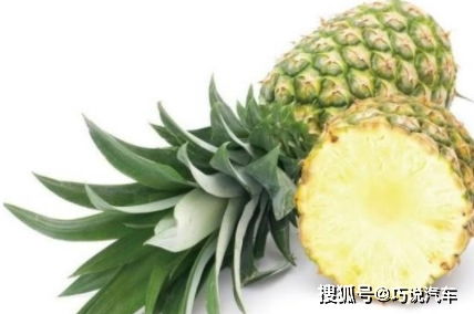 白活20年,原来菠萝和凤梨差别这么大,经常买错了,还觉得占便宜