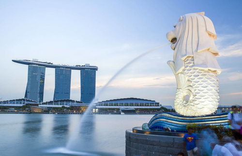 去新加坡留学费用高吗