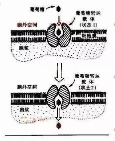 39岁成为候选院士,她是中国科学界的高颜值女神,铁齿铜牙,质疑坚守,她心中涌动的是执着的科学精神 搜狐科技 搜狐网 