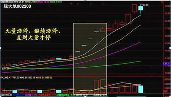 外汇中哪几个品种成交量比较大？