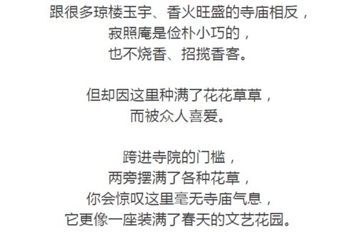 我本无意穿堂风是什么意思(我本无意惹秋风是什么意思)