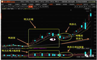 股票K线里老鸭头是什么意思?