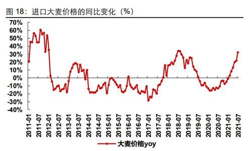 论文查重帮修改-提升学术水平的好帮手