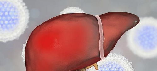 肝脏不舒服的人 多做2件事,少吃2物 修复肝细胞 预防肝硬化