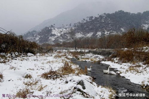 故乡的冬,故乡的雪,还有那故乡的