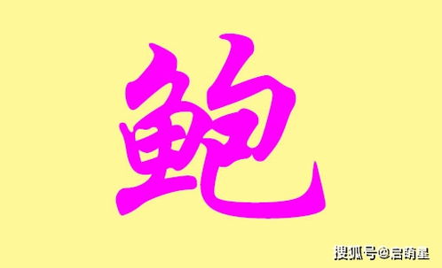 姓鲍取什么名字好听