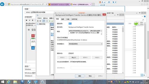 WIN8.1 应用商店部分软件无法安装,并报错