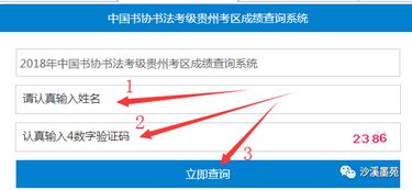 书法考试等级成绩查询（2021书法考级查询成绩） 第1张