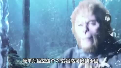 不见的思念曾过往的个人频道 