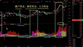 明明是长线更为稳妥，为什么股市里的投资者都选择做短线呢？