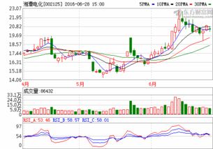 湘潭电化(002125) 2013年前景如何？