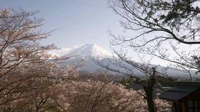 日本山梨县有什麽好玩 带你在富士山脚下住小木屋放烟花体验日剧式生活