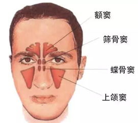 濞郎中讲堂 儿童鼻炎治不治无所谓 它的危害超乎你的想象