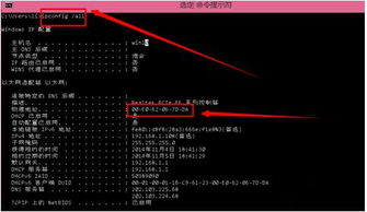win10以太网mac地址怎么查