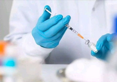 HIB疫苗是什么