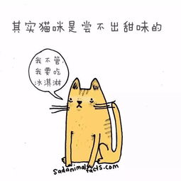 小囧君冷知识(小囧的图片)