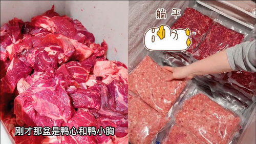 上海女子居家隔离给70只布偶猫做生骨肉,一见食材网友唏嘘 人不如猫 