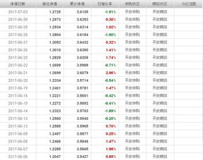 广发大盘成长混合型基金