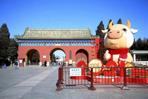 北京这些公园,春节免费开放 游览指南来了