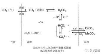 详解池塘中水体pH值的变化,微碱性最好 